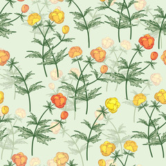 Seamless vector floral pattern. Floral background of multicolored Ranunculus light background.