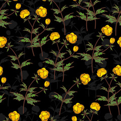 Seamless vector floral pattern. Floral background of yellow buttercups with plant shadows on black background.