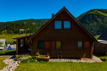 Obraz premium Small wooden house