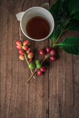 Coffee beans with real coffee fruits and leaves on wooden table