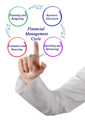 Financial Management  Cycle