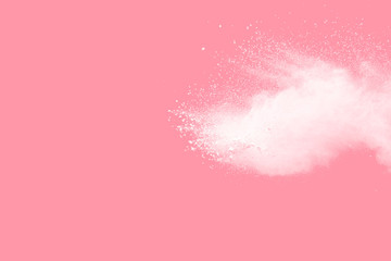 Abstract white color powder explosion on pink background. Freeze motion of white powder splashing.