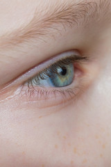 Fototapeta premium Baby blue beautiful, brooding eyes of a boy