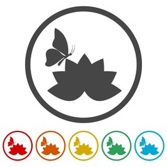 Beautiful lotus flower and Butterfly, 6 Colors Included