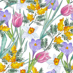 Watercolor hand-drawn texture (pattern) with spring flowers on white background
