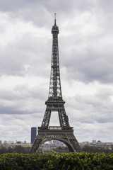 Fototapeta premium The Eiffel Tower, Paris