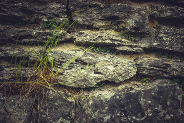 old wall