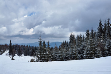 Winter landscape on a cloudy day in the Giant Mountains in Poland.