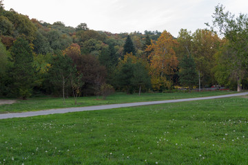 Rural road between the meadow and the forest. Early autumn in the countryside