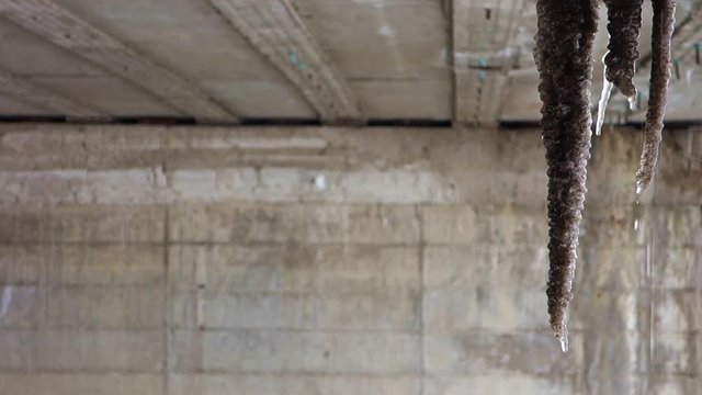 Ice stalactites under the bridge