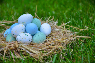 Close up of Easter eggs on a green grass 