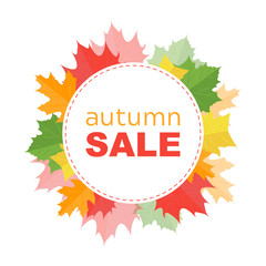 Autumn sale banner with autumn leafs on white background