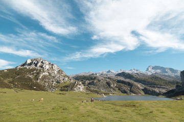 Fototapeta na wymiar La Ercina lake in the Covadonga mountains in Asturias, Spain