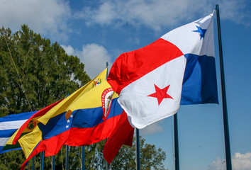 Latin American Flags