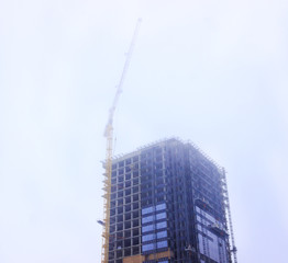 Fototapeta na wymiar building, skyscraper. It is made of concrete and glass. Crane in the open