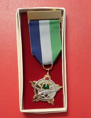 Syria Military Combat Training medal (my collection)