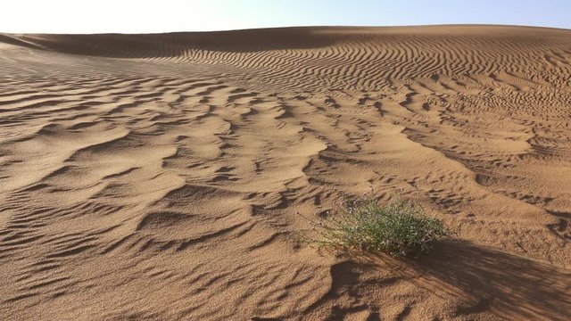 Sand blowing over sand dunes in wind, Sahara desert, 4k
