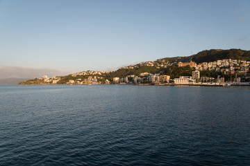 Landscape view of houses on a hill next to the beach in New Zealand. 
