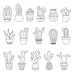 Set of 16 cactuses and succulents in flower pots. Home cactus plants with prickles and flowers. Exotic tropical collection of various succulents © barmaleeva