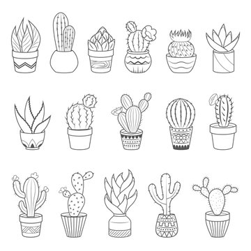 Set of 16 cactuses and succulents in flower pots. Home cactus plants with prickles and flowers. Exotic tropical collection of various succulents