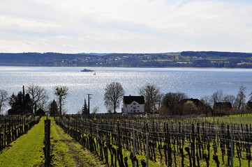 Bodensee lake germany