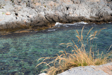 Sea landscape with nature and stones