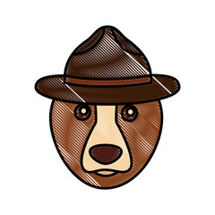 grizzly bear with hat wildlife cartoon vector illustration drawing color