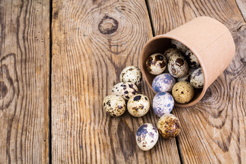 Quail eggs in cardboard box on wooden table