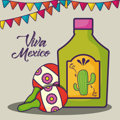 Viva mexico design with maracas and tequila bottle over white background, colorful design. vector illustration