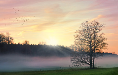Malerischer Sonnenaufgang