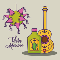 Viva mexico design with tequila bottle and guitar over white background, colorful design. vector illustration