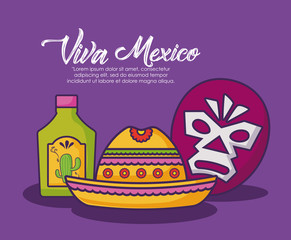 Viva mexico design with wrestling mask and tequila bottle with mexican hat over purple background, colorful design. vector illustration
