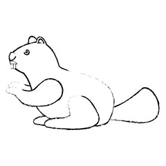 beaver rodent mammal wildlife fauna vector illustration sketch