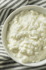 Homemade Low Fat Cottage Cheese