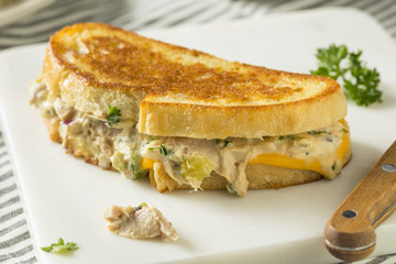 Homemade Toasted Tuna Melt Sandwich