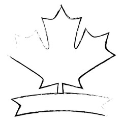 maple leaf canadian emblem banner vector illustration sketch