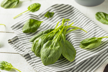 Raw Green Organic Spinach Leaves