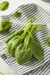 Raw Green Organic Spinach Leaves
