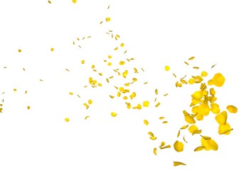 The petals of a yellow rose fly far into the distance