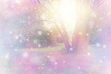 Spirit Orbs gathered around tree emitting golden white light - tree with ethereal lighting and  ...