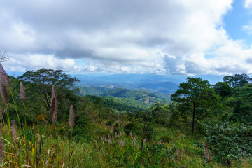 panorama landscape view of mountain and jungle with blue cloudy sky in the national park