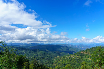 Fototapeta premium panorama landscape view of jungle and mountain with blue sky and cloud in sunny day at thailand national park. nature or abstract background.