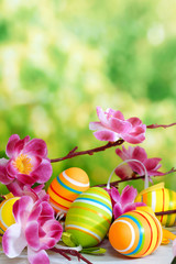 Easter. Still-life with colored eggs.  Multicolored eggs and a cherry branch on a green background.