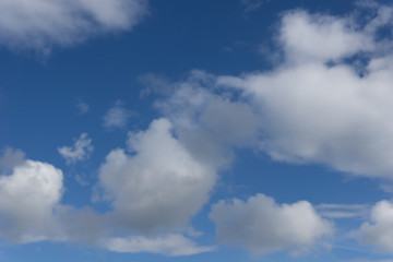 Obraz premium Beautiful and Amazing blue sky with cumulonimbus clouds in sunny day for background.