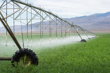 soil irrigation agriculture california