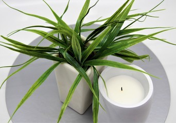 plant and candle decoration