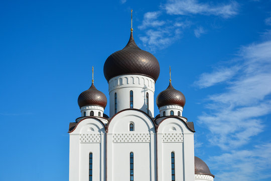Orthodox Church. Temple of All Saints, Uman, Cherkaska oblast, Ukraine.