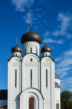 Orthodox Church. Temple of All Saints, Uman, Cherkaska oblast, Ukraine.