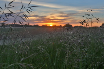 Рассвет на реке