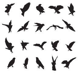 Set of eagle silhouettes-2